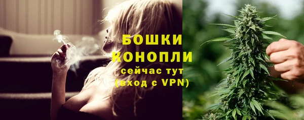 ешки Арсеньев