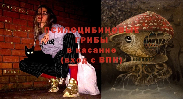 сатива Армянск