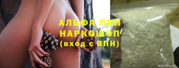 сатива Армянск