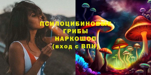 ешки Арсеньев