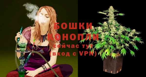 сатива Армянск