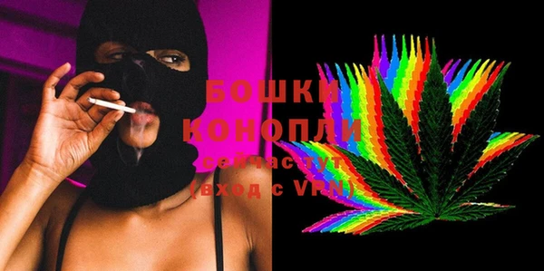 сатива Армянск