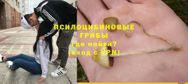 ешки Арсеньев